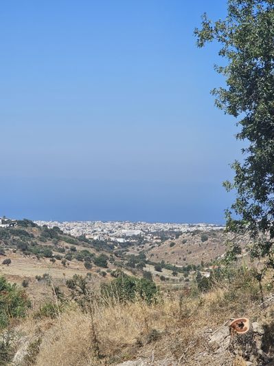 Image No.25-3 Bed House for sale