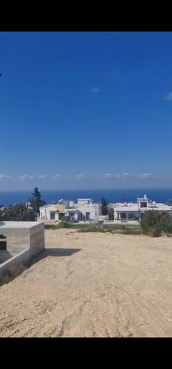 Image No.2-Terre à vendre à Tala