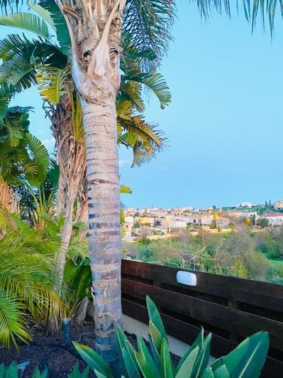 Image No.28-5 Bed Villa for sale