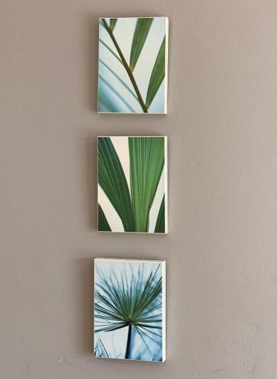 Image No.39-5 Bed Villa for sale