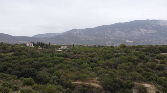 Image No.6-Land for sale