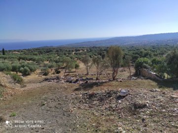 Terre à vendre à Céphalonie