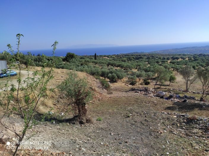 Image No.3-Terre à vendre à Céphalonie
