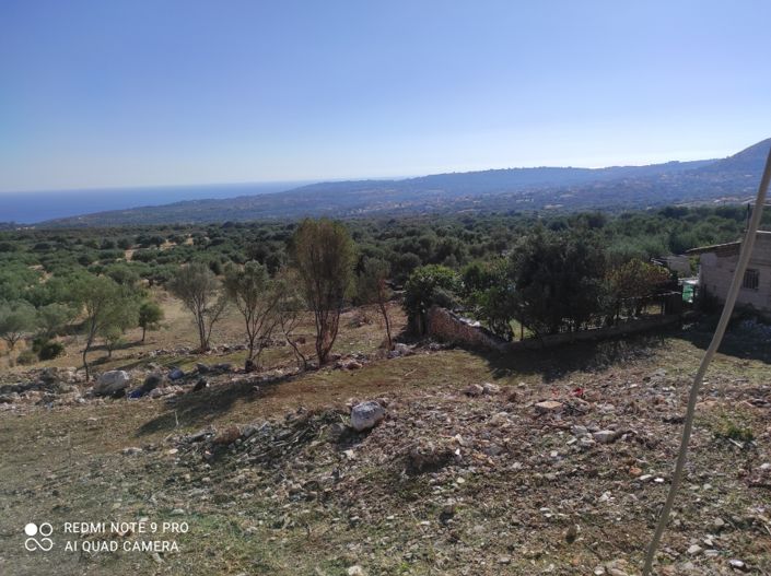 Image No.4-Terre à vendre à Céphalonie