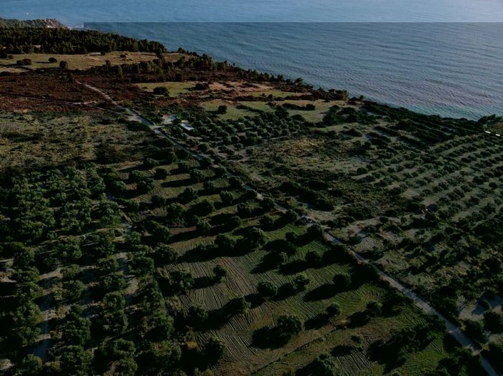 Image No.2-Terre à vendre à Céphalonie