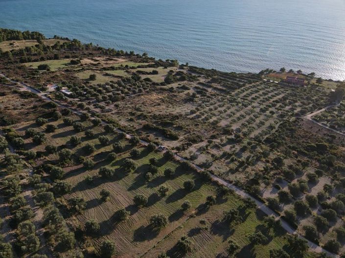 Image No.3-Terre à vendre à Céphalonie