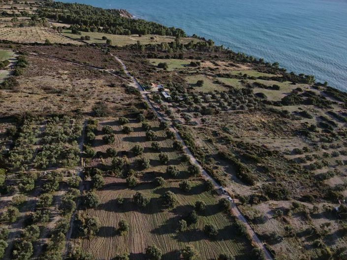 Image No.4-Terre à vendre à Céphalonie