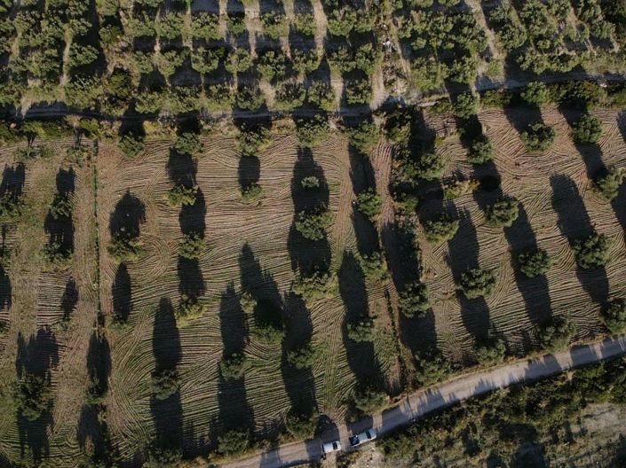 Image No.5-Terre à vendre à Céphalonie