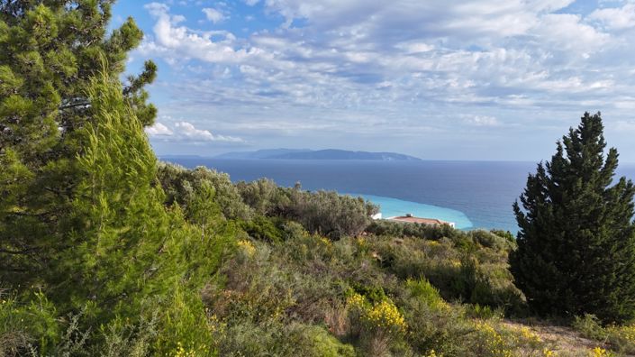Image No.18-Terre à vendre à Céphalonie