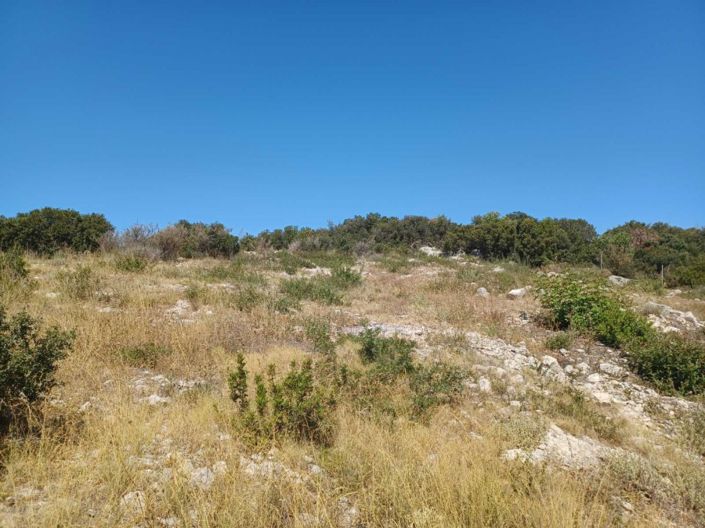 Image No.17-Terre à vendre à Céphalonie