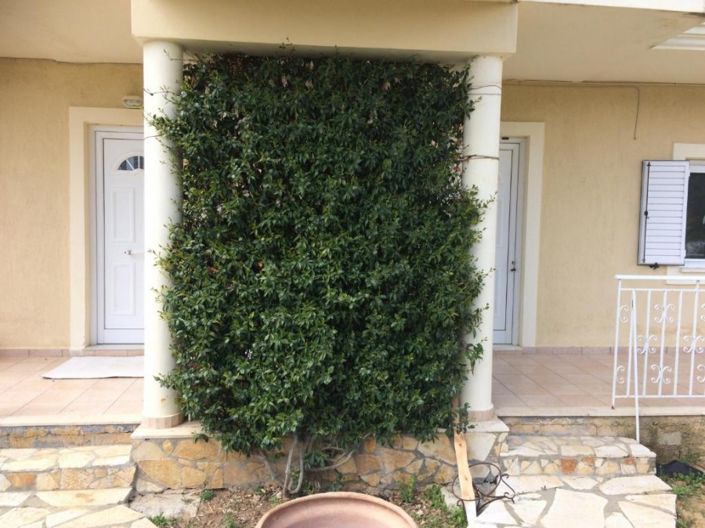 Image No.2-3 Bed House for sale