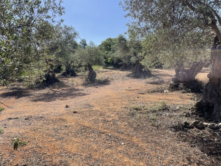 Image No.22-3 Bed Villa for sale