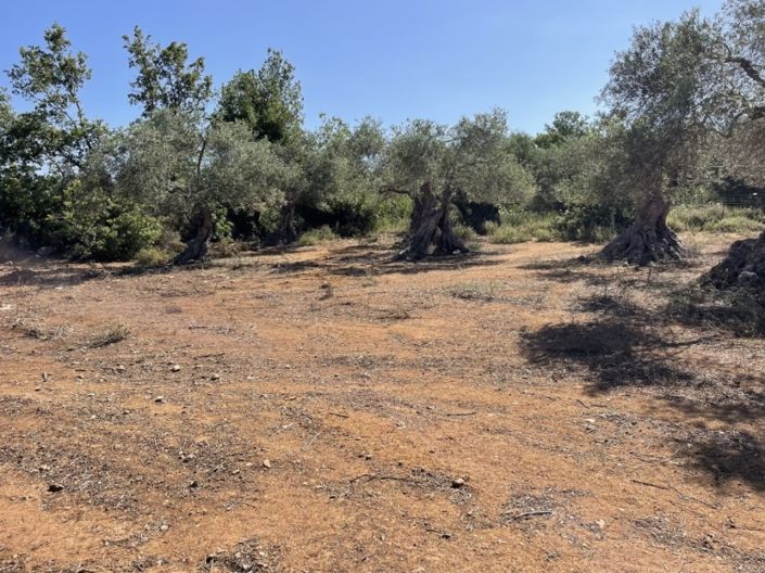 Image No.23-3 Bed Villa for sale