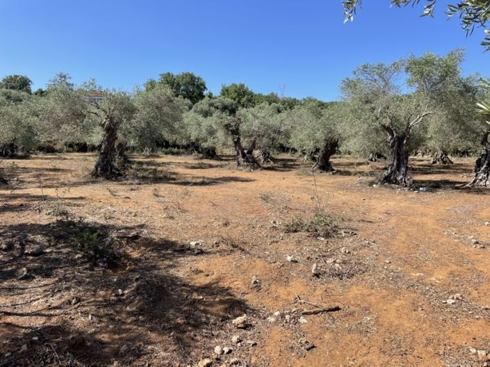 Image No.24-3 Bed Villa for sale