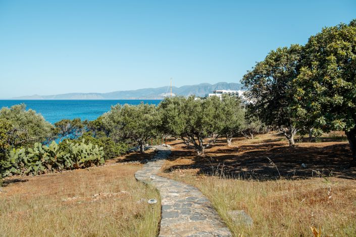 Image No.23-8 Bed House for sale