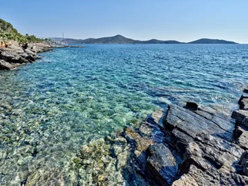 534aff33-5db2-4702-8c50-ce435497b28f