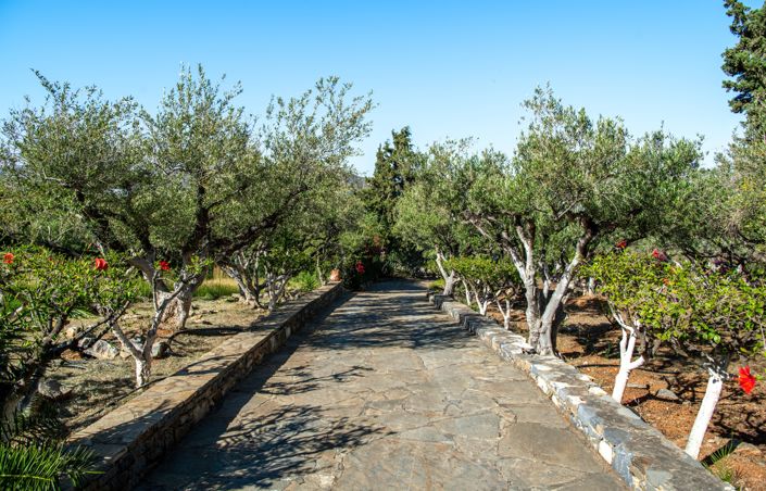 Image No.31-8 Bed House for sale