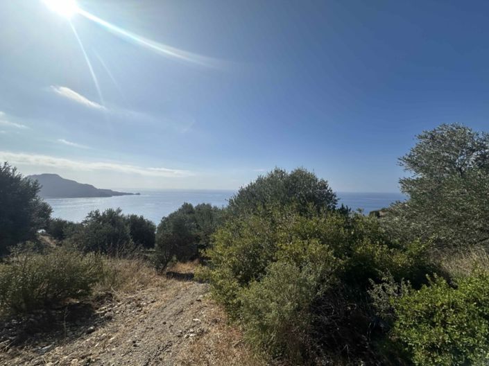 Image No.5-House for sale