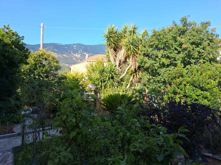 Image No.13-3 Bed House for sale