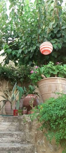 Image No.6-1 Bed House for sale