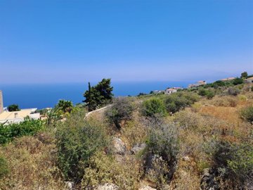 63ad2344-e6a2-41a8-aaca-2d4e1ab70e77