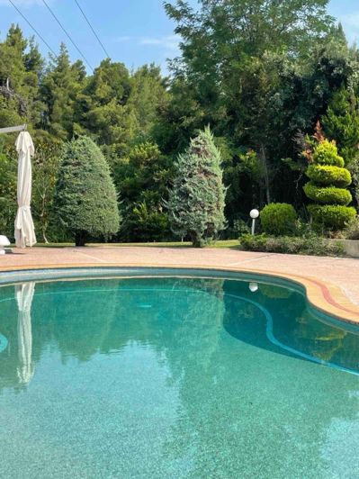 Image No.2-3 Bed House for sale