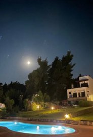 1646fa04-e88a-4463-949c-e01968cb3cc6