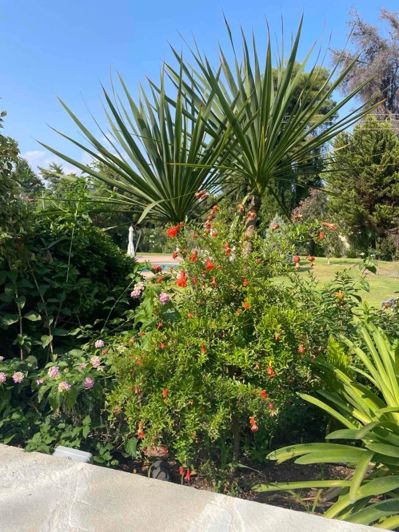 Image No.5-3 Bed House for sale