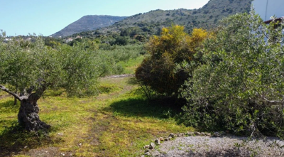 c57b07fd-f7ef-4b72-8015-aa4de5ac369c