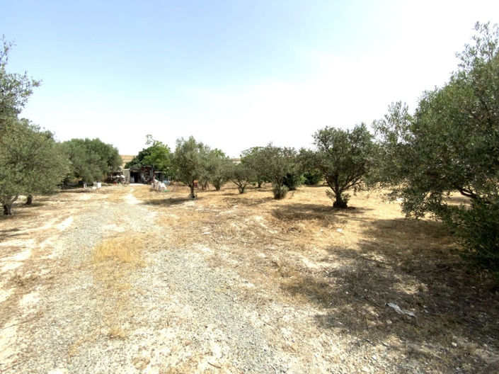 Image No.5-4 Bed Property for sale