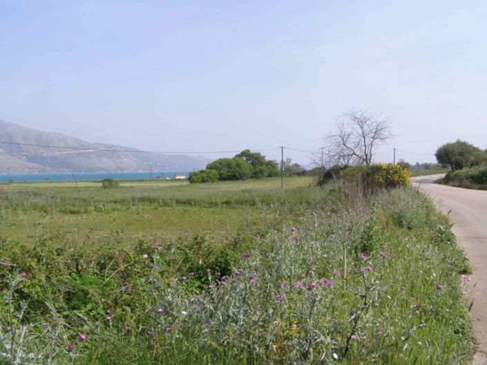 Image No.2-Terre à vendre à Céphalonie