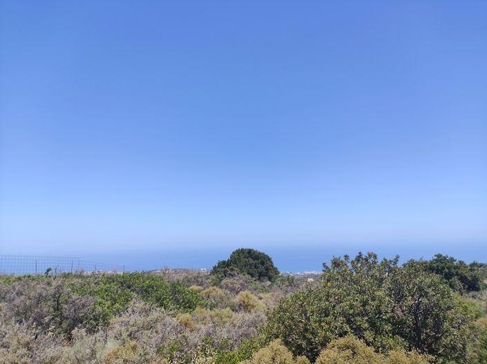 Image No.3-House for sale