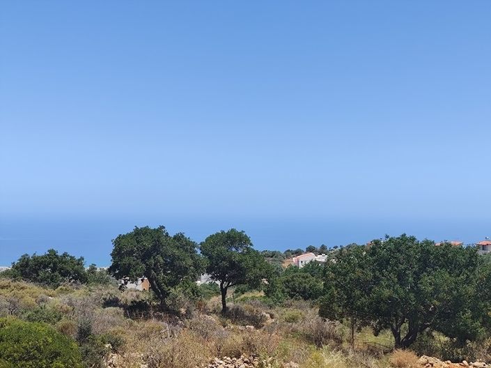 Image No.6-House for sale