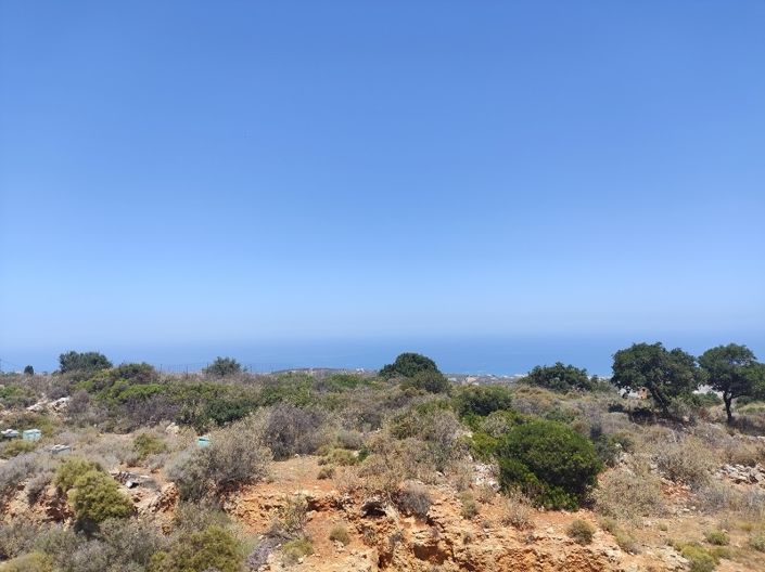 Image No.8-House for sale