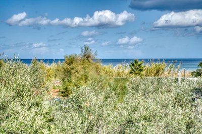 3fa88ea4-d953-4d3f-b4d7-86f5c3936f68