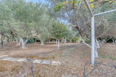 2dcf4b37-8a10-46d1-81aa-c54413d9464f