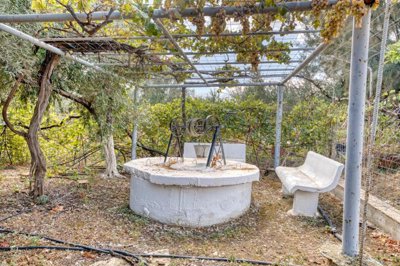 e96421e9-cd56-479b-a48a-5a77517d5932