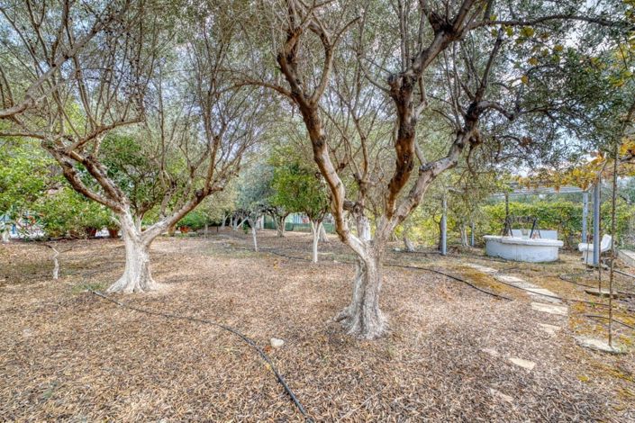 Image No.15-4 Bed House for sale