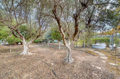 38dc6c21-786f-45d4-82ca-9781deea8b96