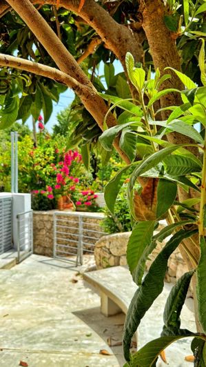 Image No.19-3 Bed House for sale