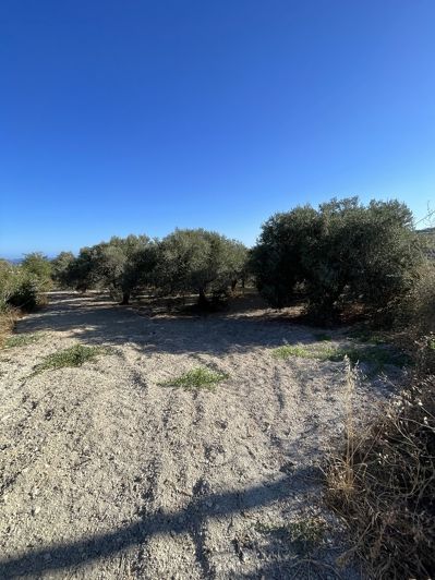 Image No.4-Maison à vendre à Episkopi