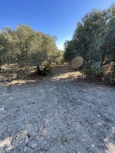 Image No.7-Maison à vendre à Episkopi