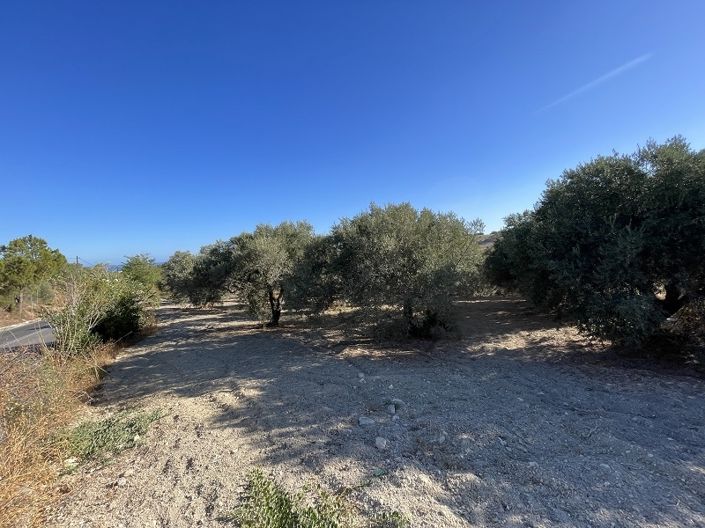 Image No.8-Maison à vendre à Episkopi
