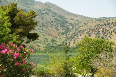 dac9021a-182d-47dc-960d-e8094e274a00