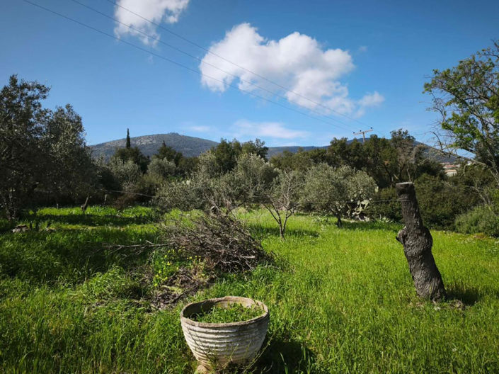 Image No.11-Maison de 2 chambres à vendre à Céphalonie