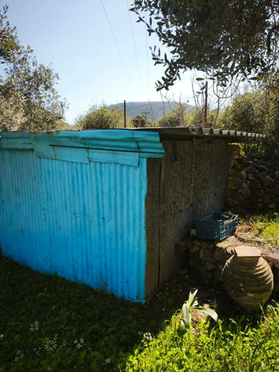 Image No.13-Maison de 2 chambres à vendre à Céphalonie