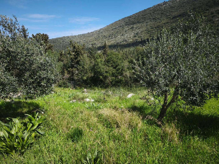 Image No.17-Maison de 2 chambres à vendre à Céphalonie
