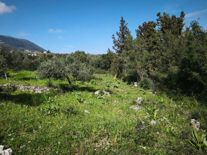 Image No.8-Maison de 2 chambres à vendre à Céphalonie