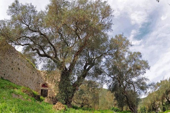 Image No.18-3 Bed House for sale