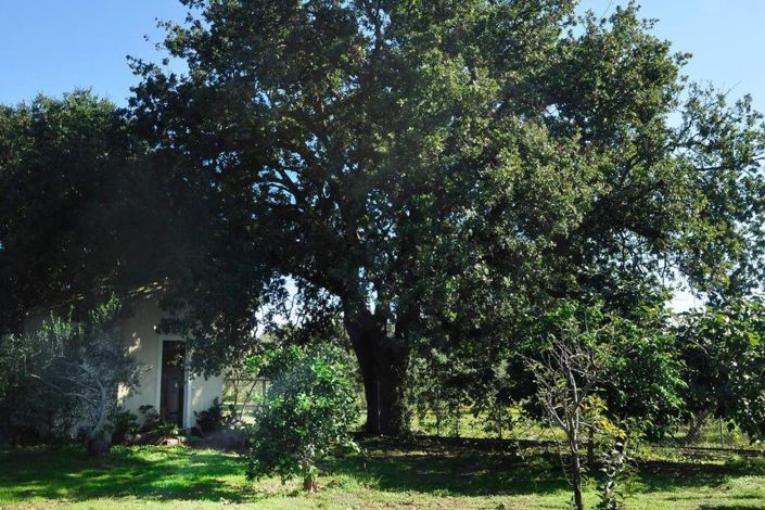 Image No.8-3 Bed House for sale